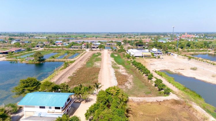ที่ดินแบ่งขาย บางปลาม้า สุพรรณบุรี รูปที่ 3