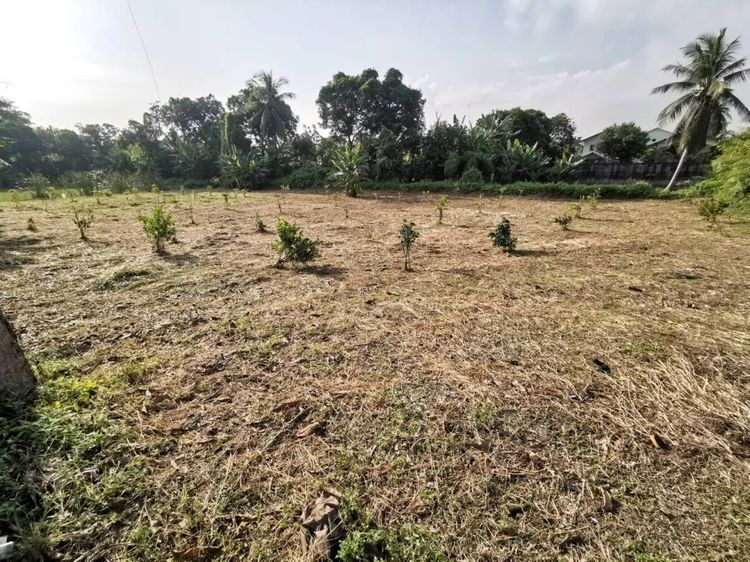 อสังหาริมทรัพย์ รูปที่ 2