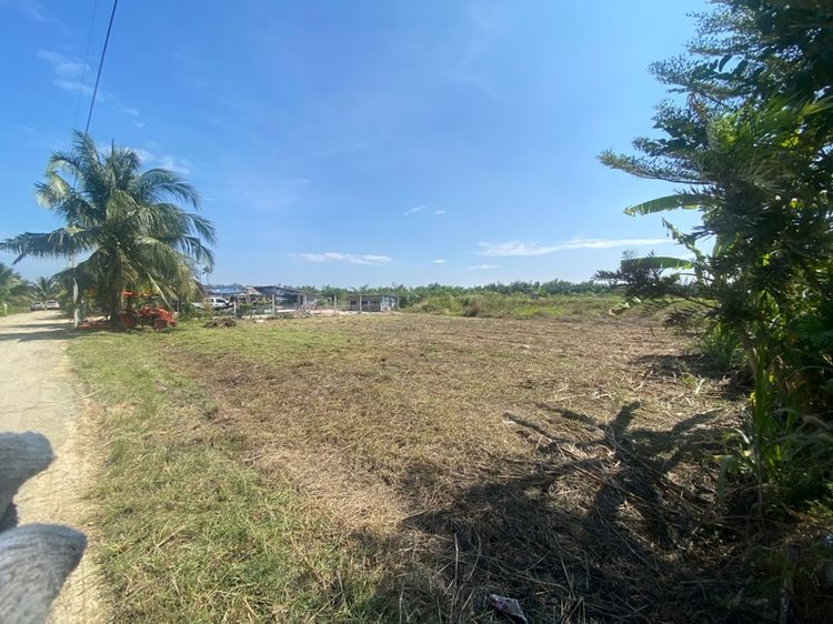 ไม่ใช่ ขายที่ดินหนองไผ่แก้ว 182 ตรว. ทำห้องเช่าได้ รูปที่ 3