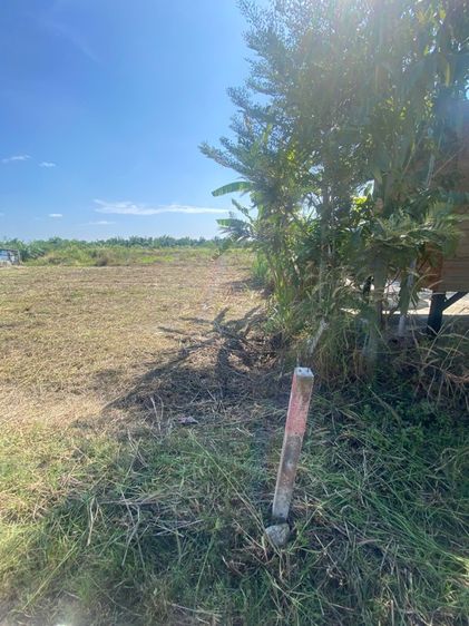 ไม่ใช่ ขายที่ดินหนองไผ่แก้ว 182 ตรว. ทำห้องเช่าได้ รูปที่ 4