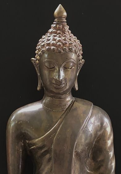พระพุทธรูปปางปาลิไลยกะ (ปางป่าเลไลย์) รูปที่ 5