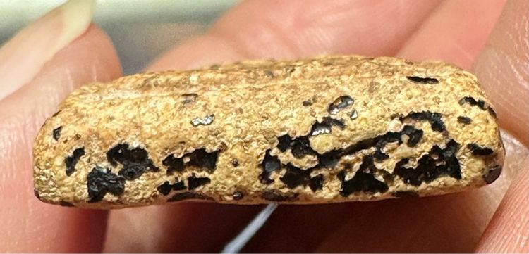 🙏พระสมเด็จพิมพ์ทรงเจดีย์ มีคราบรัดเก่าตามซอก🙏พระสมเด็จพิมพ์ใหญ่ เนื้อก้นครก องค์ละ2000 รูปที่ 9