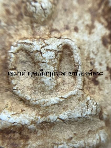 สมเด็จสองคลอง รูปที่ 12