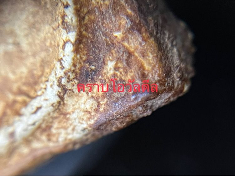 สมเด็จสองคลอง รูปที่ 9