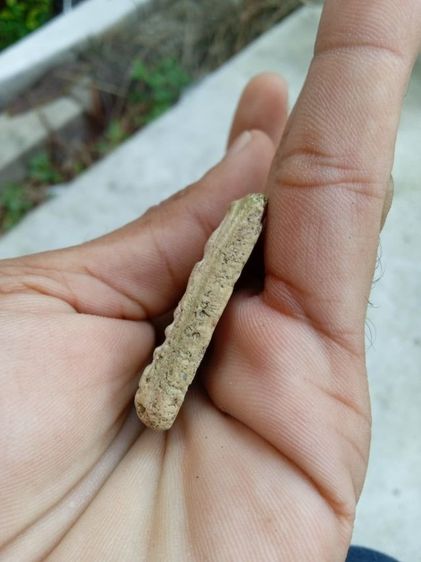 สมเด็จบางขุนพรหม พิมพ์ใหญ่ รูปที่ 4