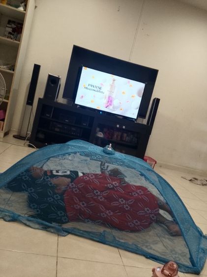 มุ้งกันยุงสภาพนางฟ้า รูปที่ 6