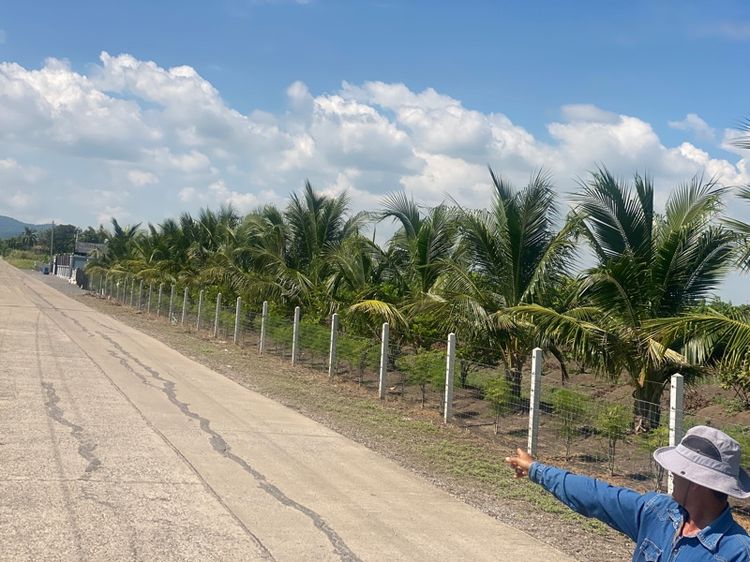 ที่ดินติดถนน หน้ากว้าง 100 กว่าเมตร น้ำ ไฟ ผ่าน ปลูกบ้านได้ รูปที่ 4