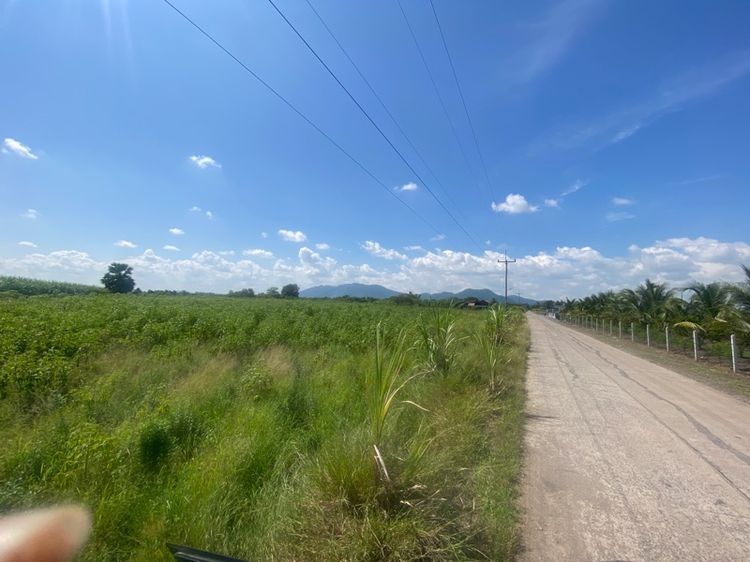 ที่ดินติดถนน หน้ากว้าง 100 กว่าเมตร น้ำ ไฟ ผ่าน ปลูกบ้านได้ รูปที่ 2