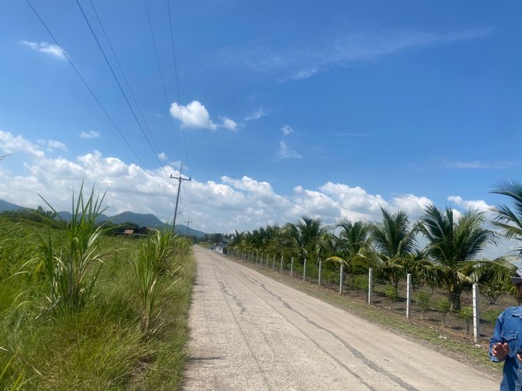 ที่ดินติดถนน หน้ากว้าง 100 กว่าเมตร น้ำ ไฟ ผ่าน ปลูกบ้านได้