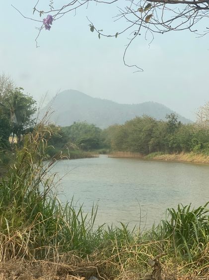 ที่ดินสวยติดถนนตลอดแนวที่ดิน ทิวทัศน์สวย