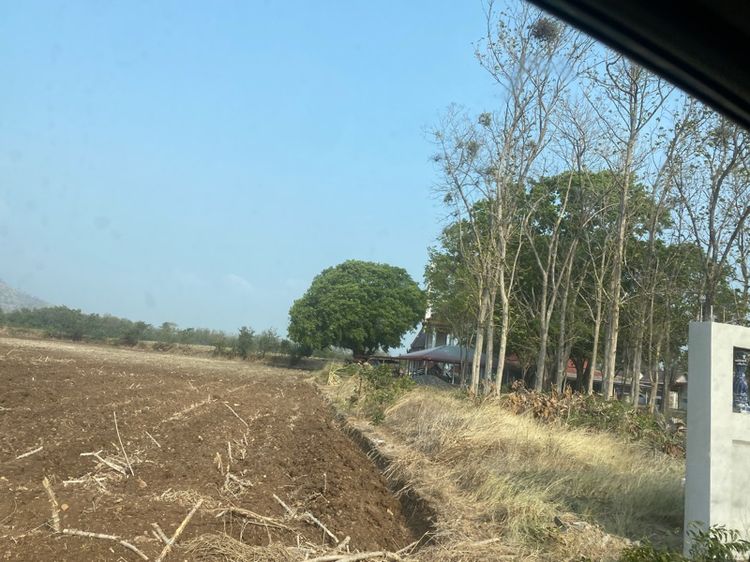 ที่ดินสวยติดถนนตลอดแนวที่ดิน ทิวทัศน์สวย รูปที่ 3