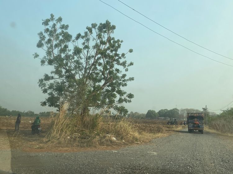 ที่ดินสวยติดถนนตลอดแนวที่ดิน ทิวทัศน์สวย รูปที่ 4