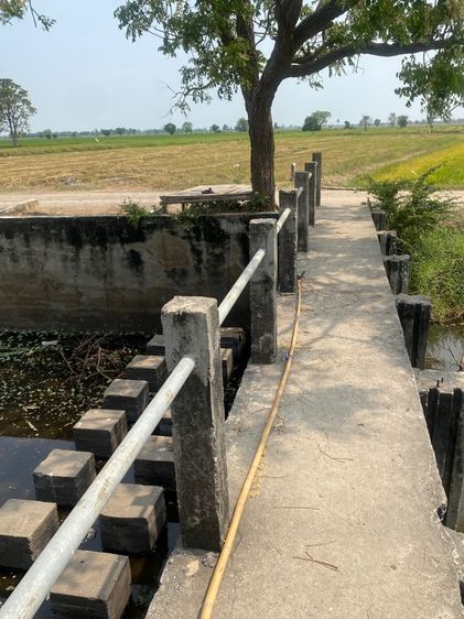 ใช่ ที่ดินติดหมู่บ้านเนินสำราญ แปลงหัวมุม ใกล้กับอุทยานนกน้ำบึงบอระเพ็ด รูปที่ 3