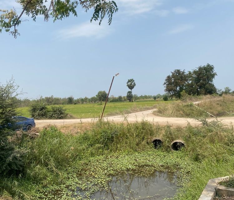 ใช่ ที่ดินติดหมู่บ้านเนินสำราญ แปลงหัวมุม ใกล้กับอุทยานนกน้ำบึงบอระเพ็ด รูปที่ 2