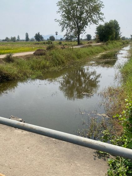 ใช่ ที่ดินติดหมู่บ้านเนินสำราญ แปลงหัวมุม ใกล้กับอุทยานนกน้ำบึงบอระเพ็ด รูปที่ 4