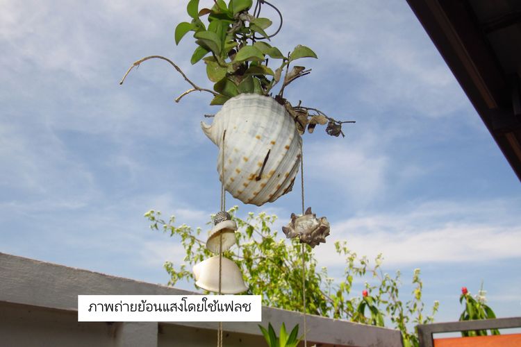 CANON PowerShot SX530 HS zoom 50x รูปที่ 9