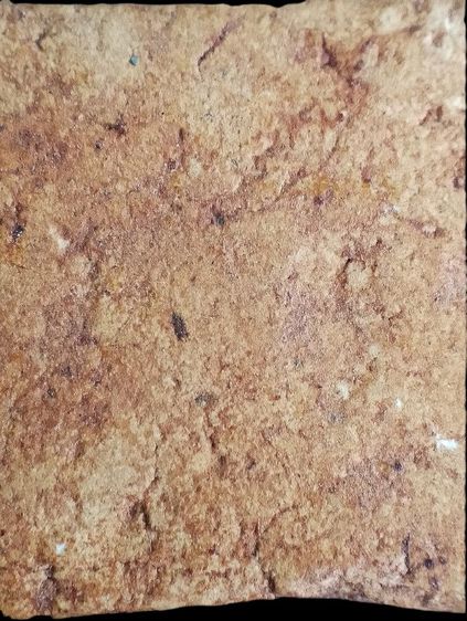 กรุวัดกลางคลองข่อย. รูปที่ 10