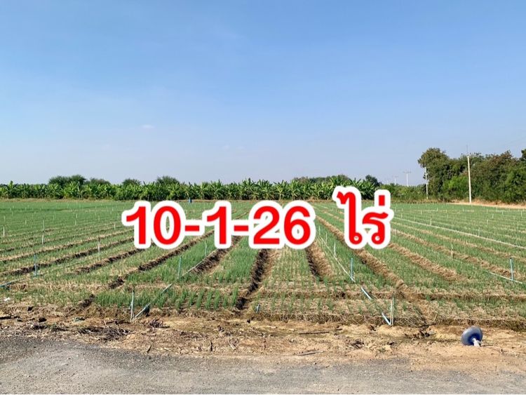 ขายที่ดินสวย2แปลง เนื้อที่รวมประมาณ26ไร่ ใกล้มอเตอร์เวย์ สภาพแวดล้อมดี เหมาะลงทุน,จัดสรร,ทำเกษตรหรืออื่นๆ คมนาคมสะดวก รูปที่ 4