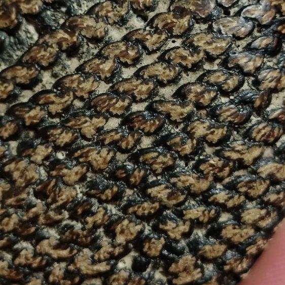 เบี้ยแก้เก่าๆ วัดนายโรง กทม. ปรอทยังวิ่งอยู่ยังไม่ตาย รูปที่ 12