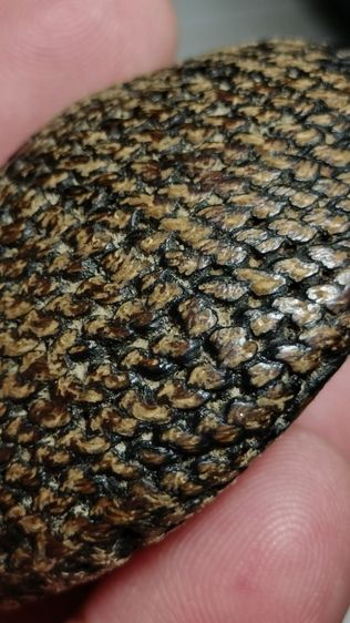 เบี้ยแก้เก่าๆ วัดนายโรง กทม. ปรอทยังวิ่งอยู่ยังไม่ตาย รูปที่ 6