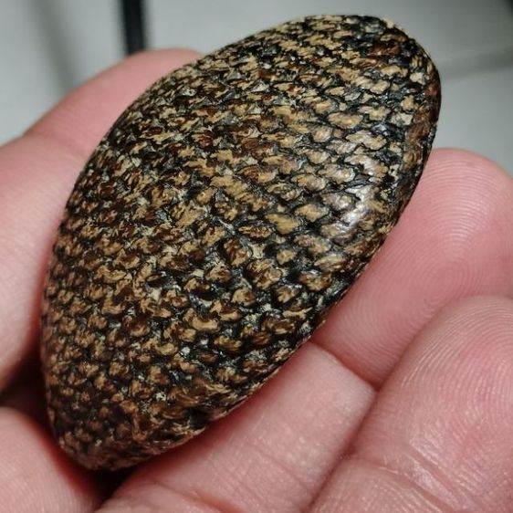 เบี้ยแก้เก่าๆ วัดนายโรง กทม. ปรอทยังวิ่งอยู่ยังไม่ตาย รูปที่ 11