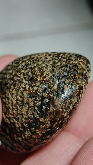 เบี้ยแก้เก่าๆ วัดนายโรง กทม. ปรอทยังวิ่งอยู่ยังไม่ตาย รูปที่ 2