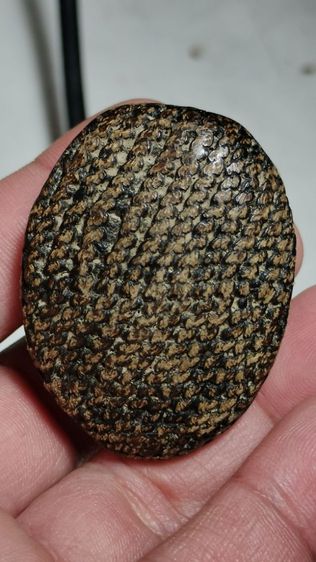 เบี้ยแก้เก่าๆ วัดนายโรง กทม. ปรอทยังวิ่งอยู่ยังไม่ตาย รูปที่ 3