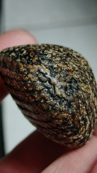 เบี้ยแก้เก่าๆ วัดนายโรง กทม. ปรอทยังวิ่งอยู่ยังไม่ตาย รูปที่ 5