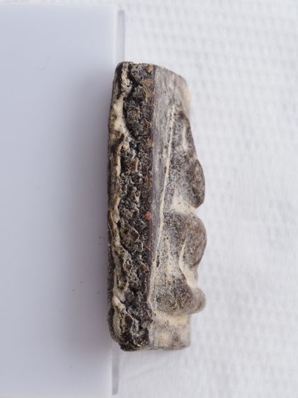 พระเครื่อง 11106802 รูปที่ 3