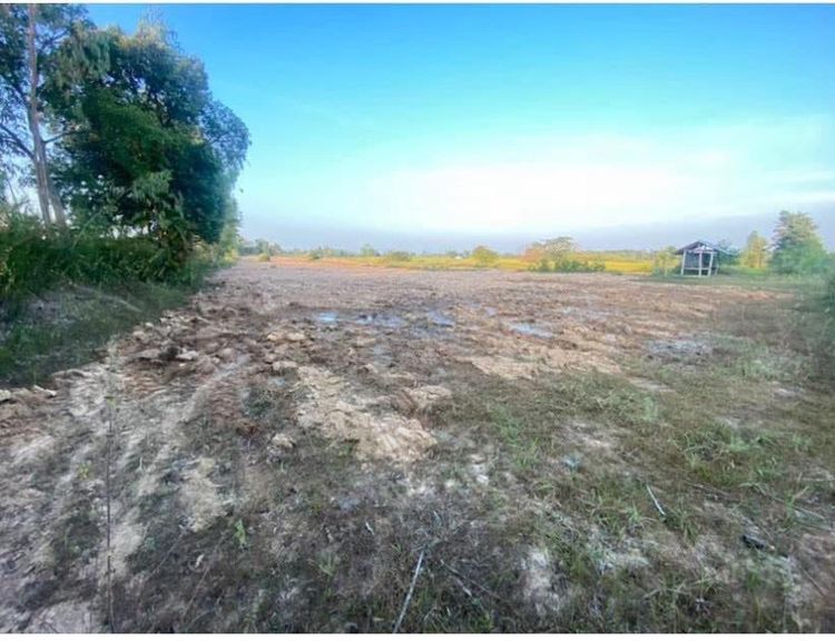 ใช่ ที่ดิน 18ไร่ 38ตางรางวา บ้านห้วยตูม ต.กลางหมื่น อ.เมืองกาฬสินธุ์ จ.กาฬสินธุ์ รูปที่ 4