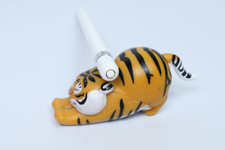 Apple Pencil Gen 1 - ID25120222 รูปที่ 4