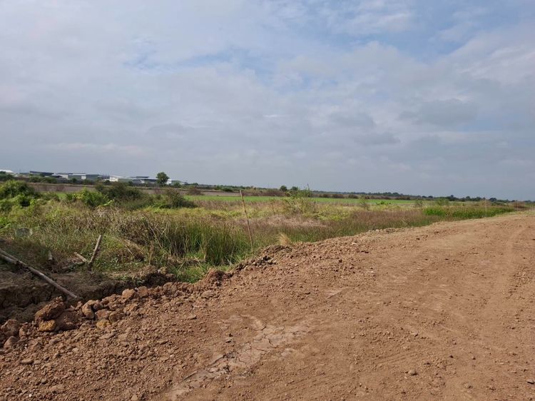 ที่ดินพร้อมโกดัง 3.1 ลบ. รูปที่ 2