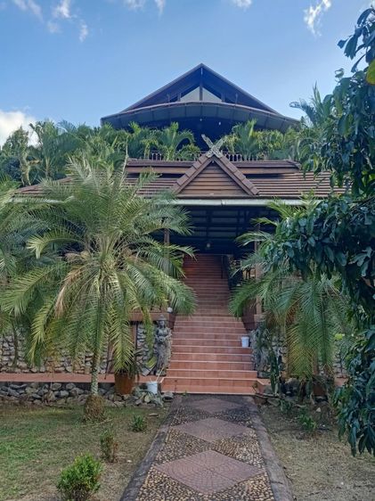 ขายบ้านพักตากอากาศจังหวัดลำพูนเนื้อที่ 15 ไร่ รูปที่ 4