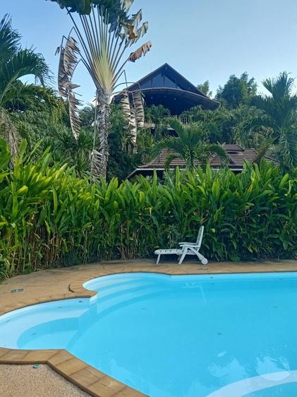 ขายบ้านพักตากอากาศจังหวัดลำพูนเนื้อที่ 15 ไร่ รูปที่ 3