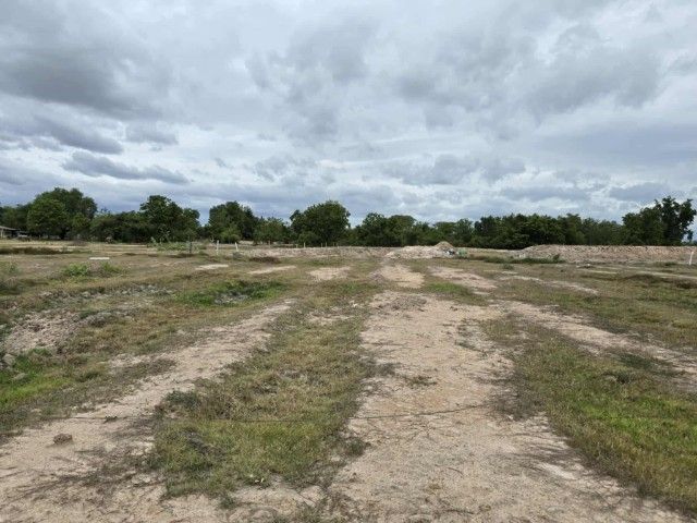 ไม่ใช่ ขายที่ดินเปล่า รูปที่ 4