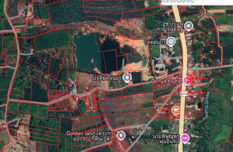 ขายที่ดินอำเภอกาญจนดิษฐ์ สุราษฎร์ธานี