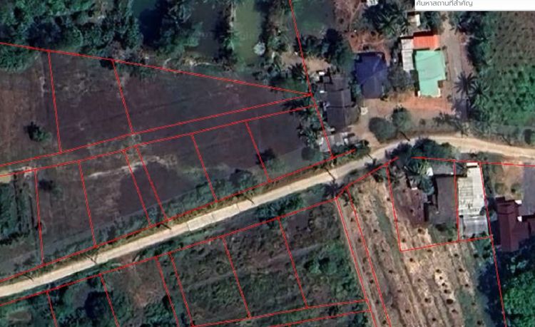 ขายที่ดินอำเภอกาญจนดิษฐ์ สุราษฎร์ธานี รูปที่ 2