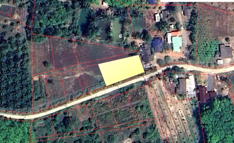 ขายที่ดินอำเภอกาญจนดิษฐ์ สุราษฎร์ธานี รูปที่ 3