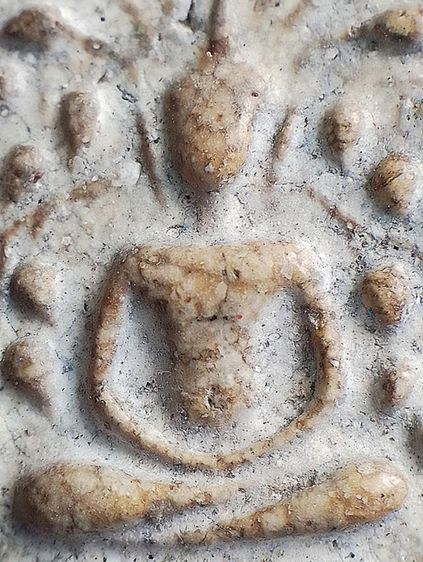 หลวงปู่นาค วัดระฆังฯ. รูปที่ 6