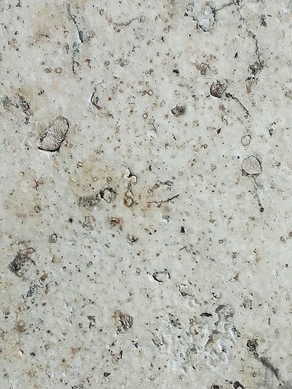 หลวงปู่นาค วัดระฆังฯ. รูปที่ 14