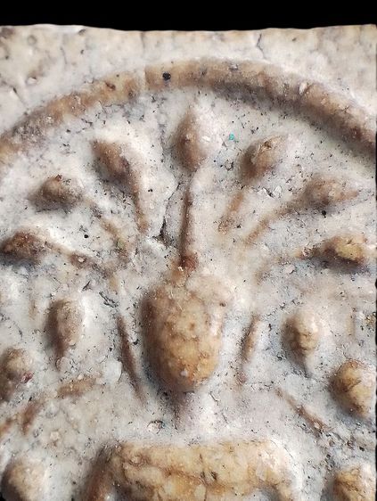 หลวงปู่นาค วัดระฆังฯ. รูปที่ 5