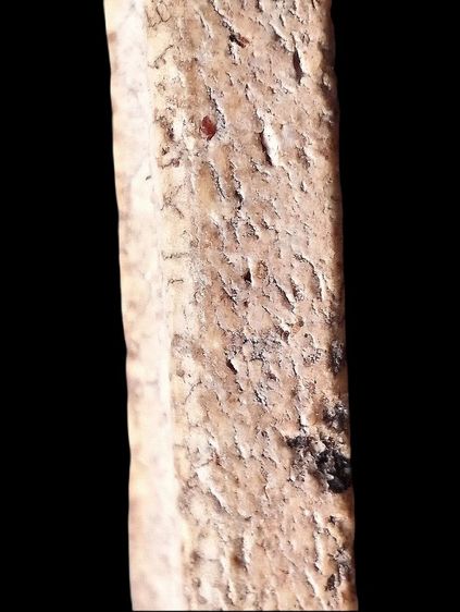 หลวงปู่นาค วัดระฆังฯ. รูปที่ 17