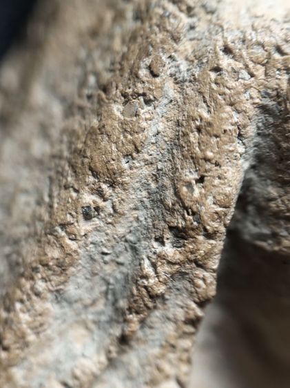 ❌ปิดครับ❌พระนางพญาเนื้อดินครับ รูปที่ 14