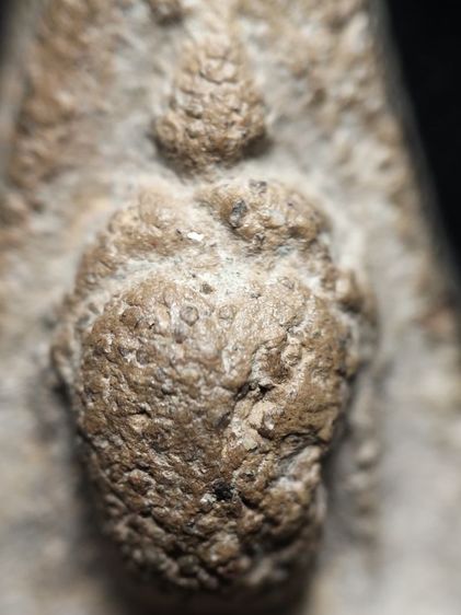 ❌ปิดครับ❌พระนางพญาเนื้อดินครับ รูปที่ 8