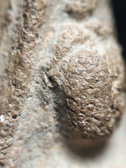 ❌ปิดครับ❌พระนางพญาเนื้อดินครับ รูปที่ 2