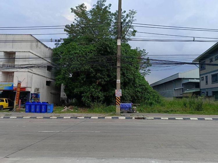 ที่ดินแปลงสวย ทำเลทอง EEC  ติดถนน 331 โซนบ่อวิน ศรีราชา ชลบุรี รูปที่ 4