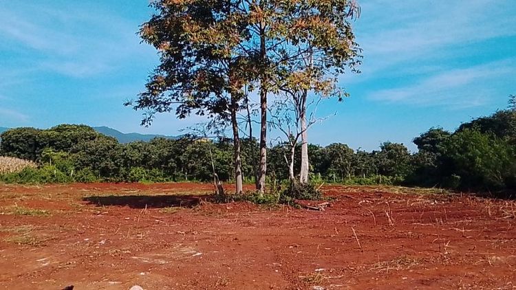 ใช่ ที่ดินสวยในซอยริมทางหลวง รูปที่ 2