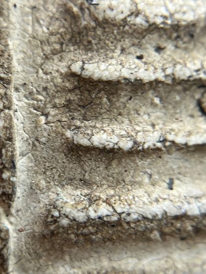 พระสมเด็จวัดระฆังพิมพ์ใหญ่เกศทะลุซุ้ม หลัง ตราฉัตร ร.4 รูปที่ 6