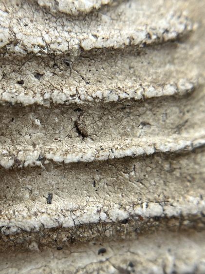 พระสมเด็จวัดระฆังพิมพ์ใหญ่เกศทะลุซุ้ม หลัง ตราฉัตร ร.4 รูปที่ 7