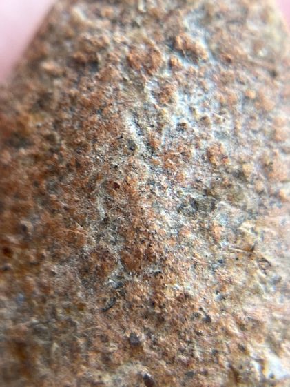 พระกรุวัดตะไกร พิมพ์หน้าครุฑ พระกรุวัดตะไกร อยุธยา พระวัดตะไกร เนื้อดินยอดนิยม รูปที่ 13